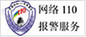 網(wǎng)絡(luò)110